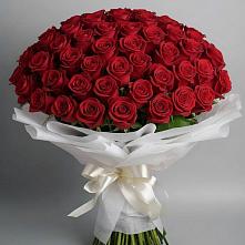 Букет 101 Красная роза Блэк Мэджик в Зарево