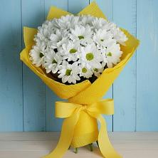 Букет цветов из:  Хризантемы в Зарево