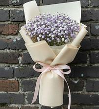 Букет цветов из:  Гипсофила в Зарево
