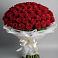 Букет 101 Красная роза Блэк Мэджик в Зарево