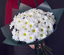 Букет цветов из:  Хризантемы #REPLACE_PRED# Зарево