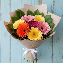 Букет цветов из:  Герберы в Зарево
