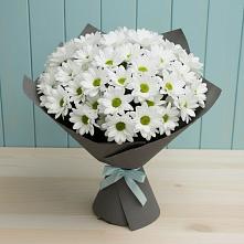 Букет цветов из:  Хризантемы #REPLACE_PRED# Зарево