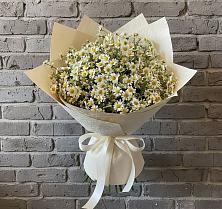Букет цветов из:  Ромашки в Зарево