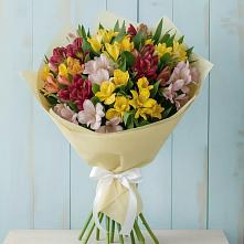 Букет цветов из:  Альстромерии в Зарево