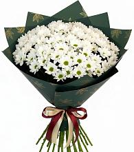 Букет цветов из:  Хризантемы в Зарево