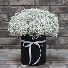 Цветочная композиция из Гипсофила в шляпной коробке в Зарево