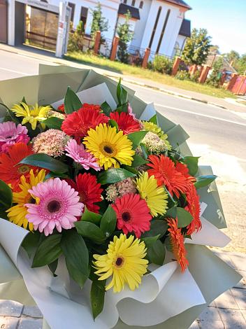 Букет цветов из: Герберы в Зарево
